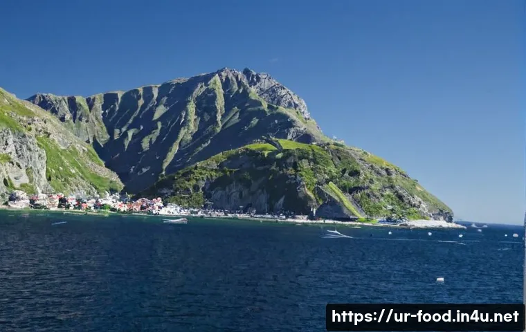 집에서 할 수 있는 건강한 요리 관련 이미지 1